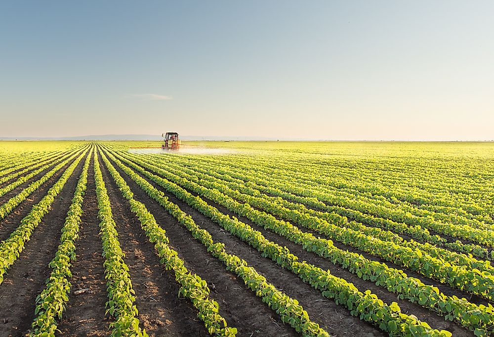 Agricultural techniques have become highly evolved over the years. 