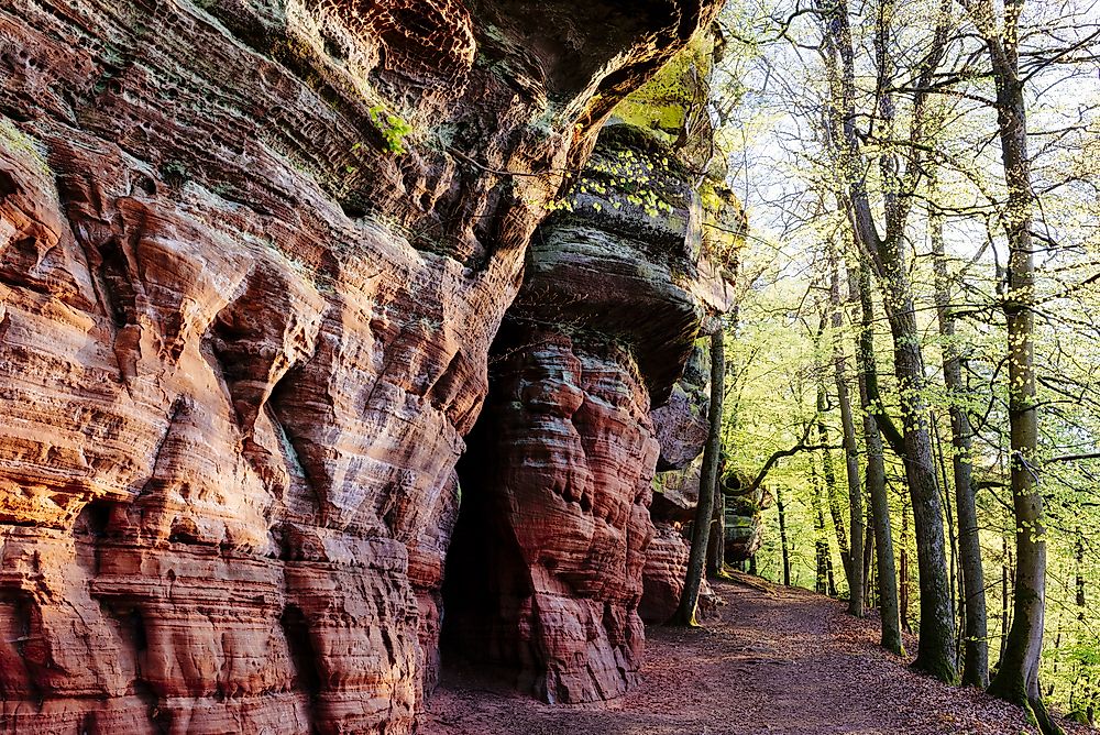 The landscape of Hunsrück-Hochwald National Park. 