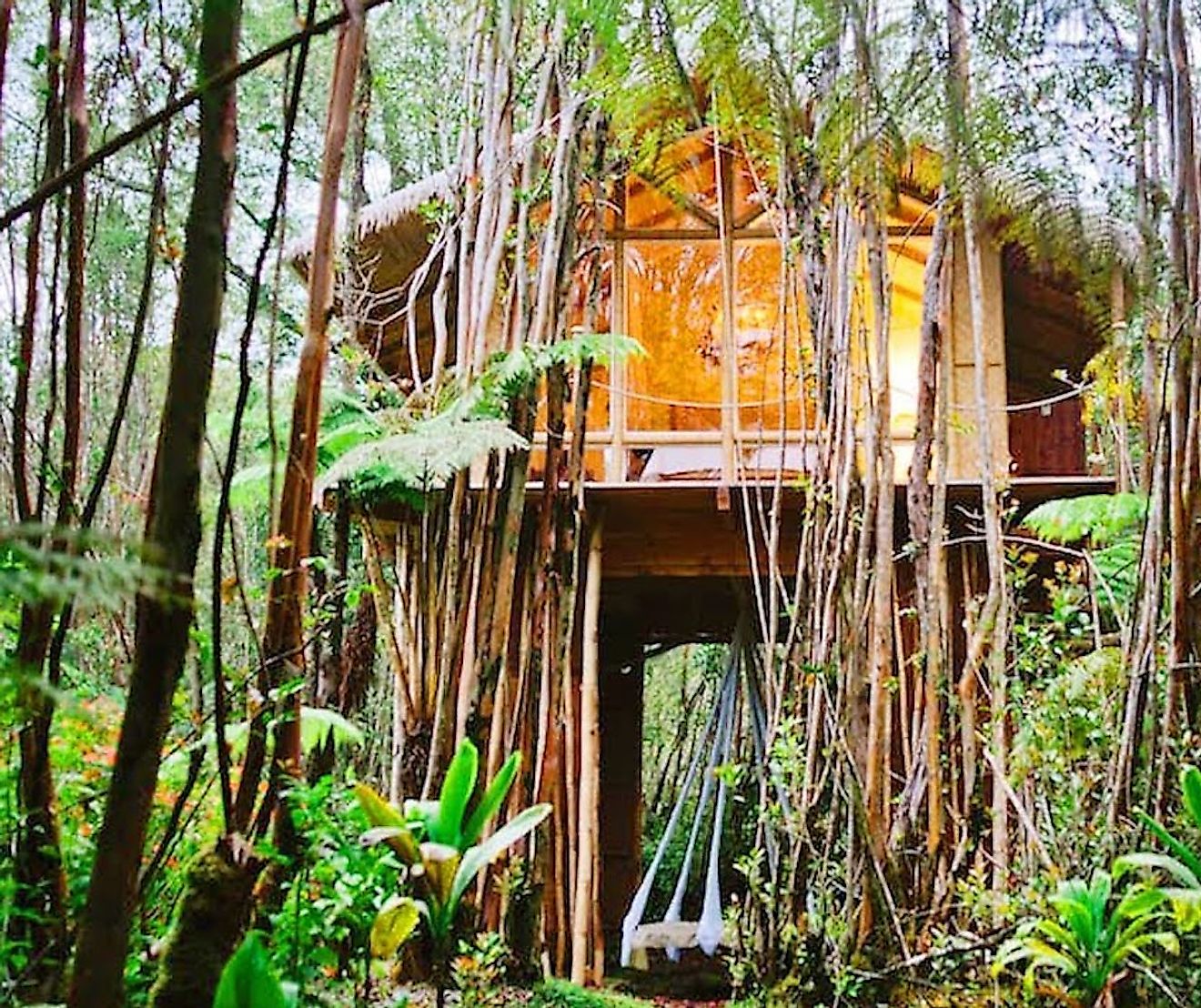 Dreamy Tropical Treehouse, Hawaii. Image credit: www.airbnb.co.in
