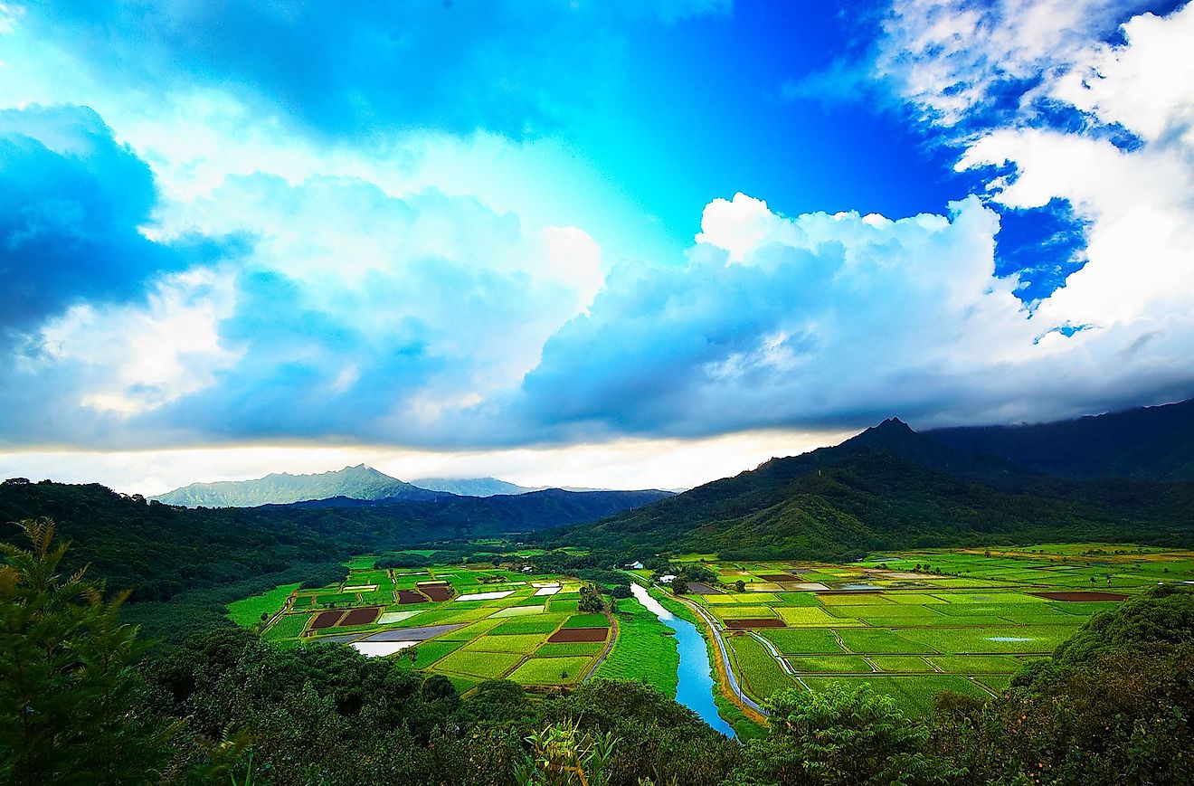 Signature view of Kauai from the famous Hanalei Valley Outlook with the Hanalei River flowing through the Taro fields. 