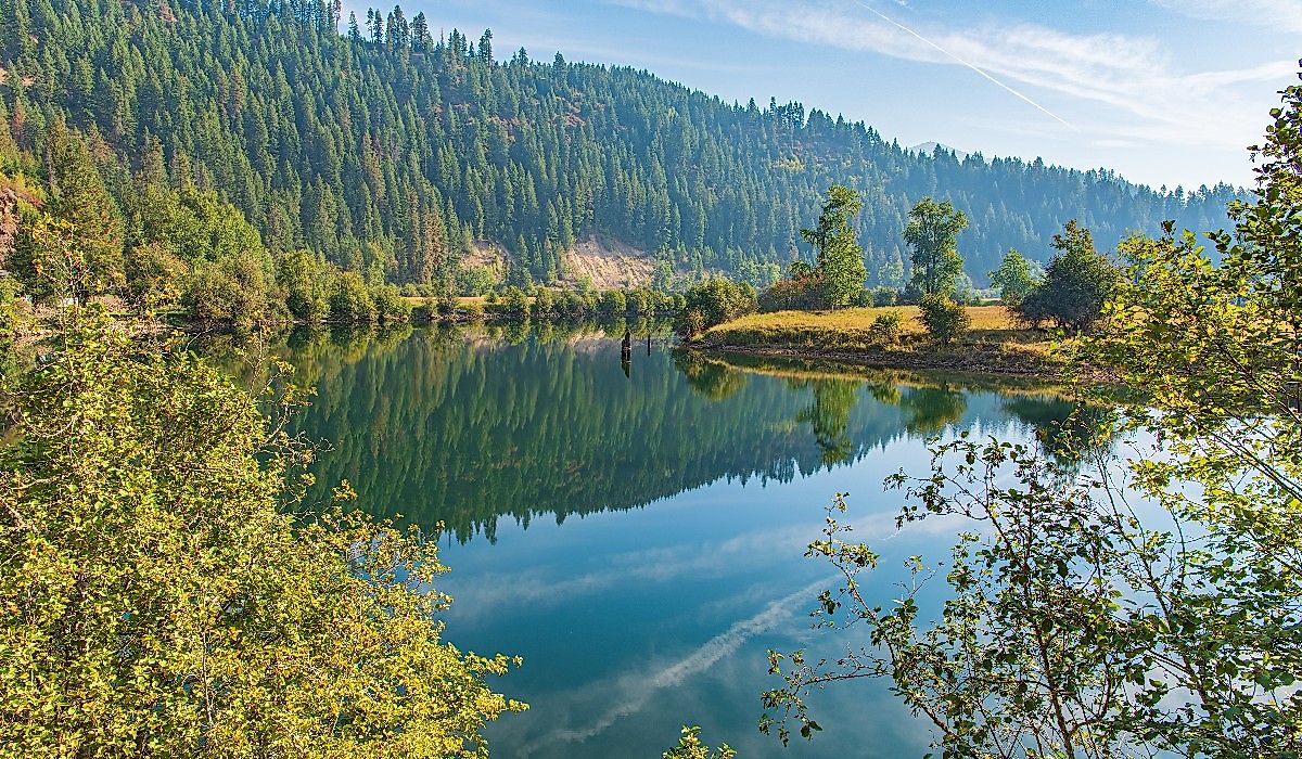 St. Joe River Scenic Byway in Idaho, landscape with brown thistles on Turtle Lake near Saint Maries, Idaho. Image credit Robert Appleby via AdobeStock.