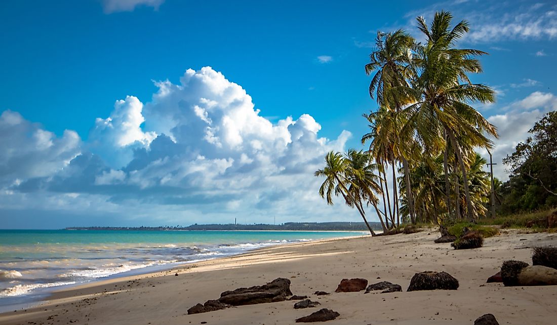 The Alagoas Coast in Brazil. 