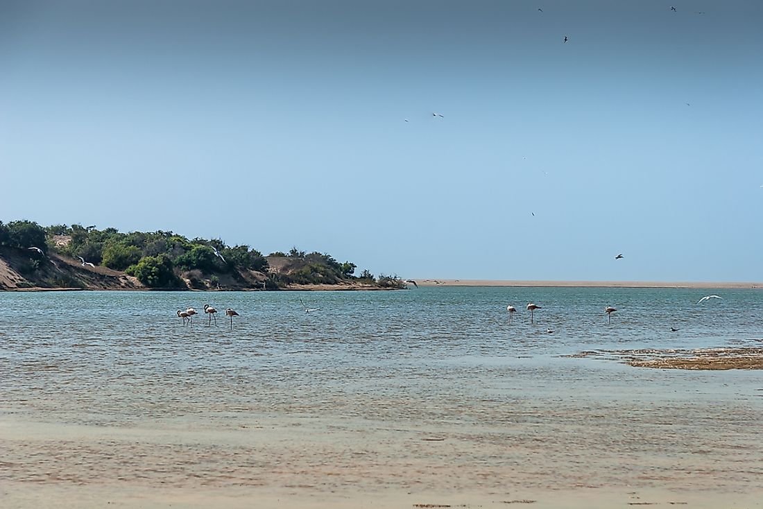 The Souss-Massa National Park hosts a large number of bird species.