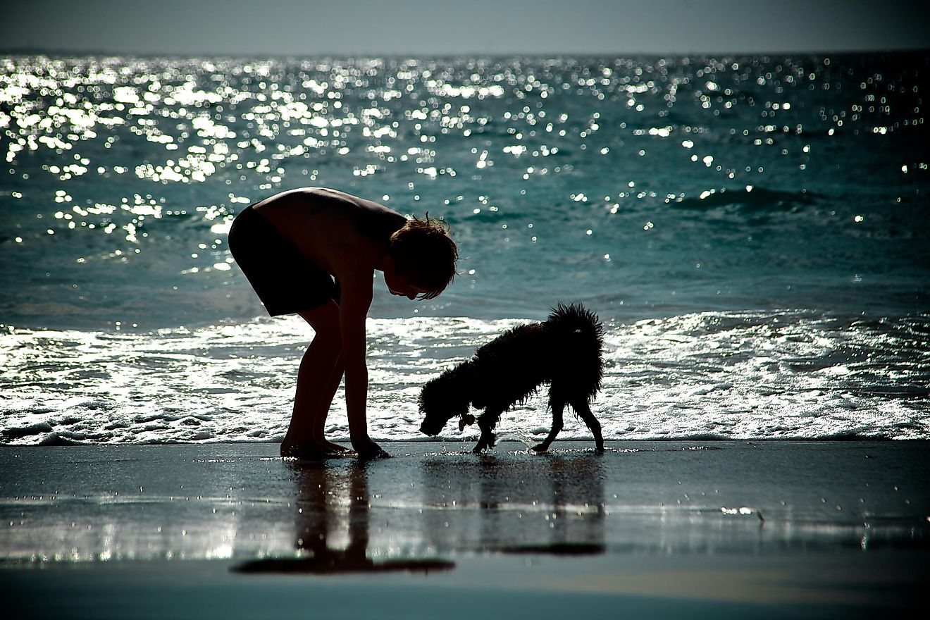 Beachcombing