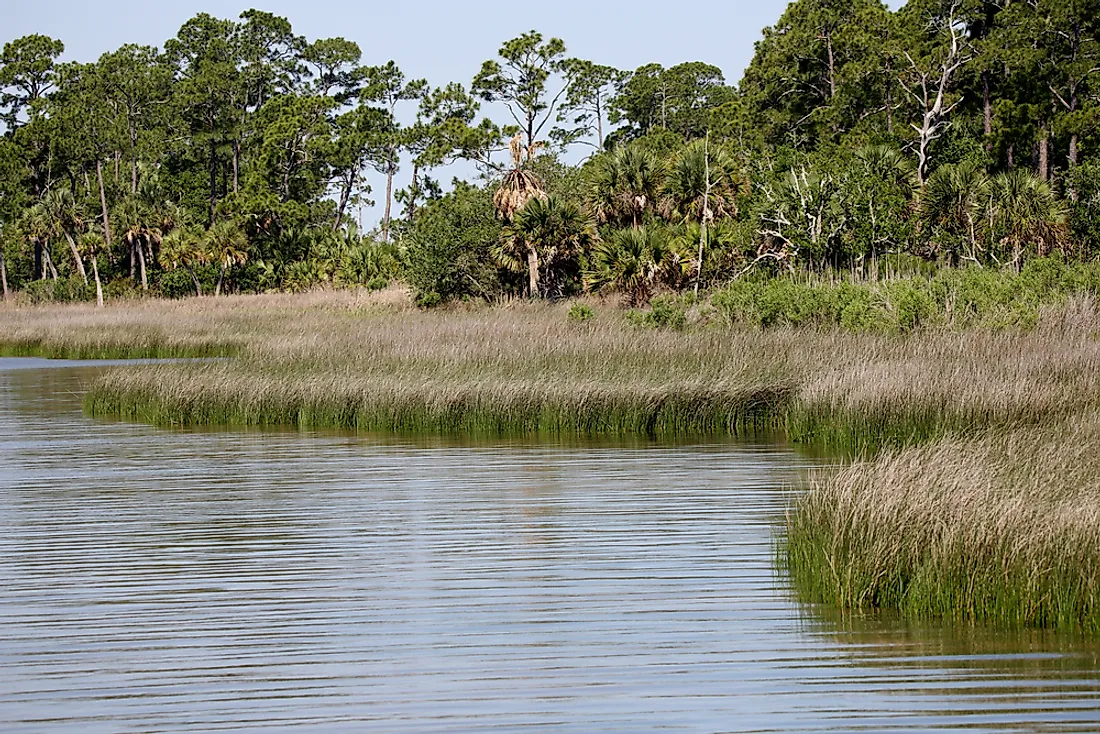 The Apalachicola River drains into the Gulf of Mexico through Apalachicola Bay.