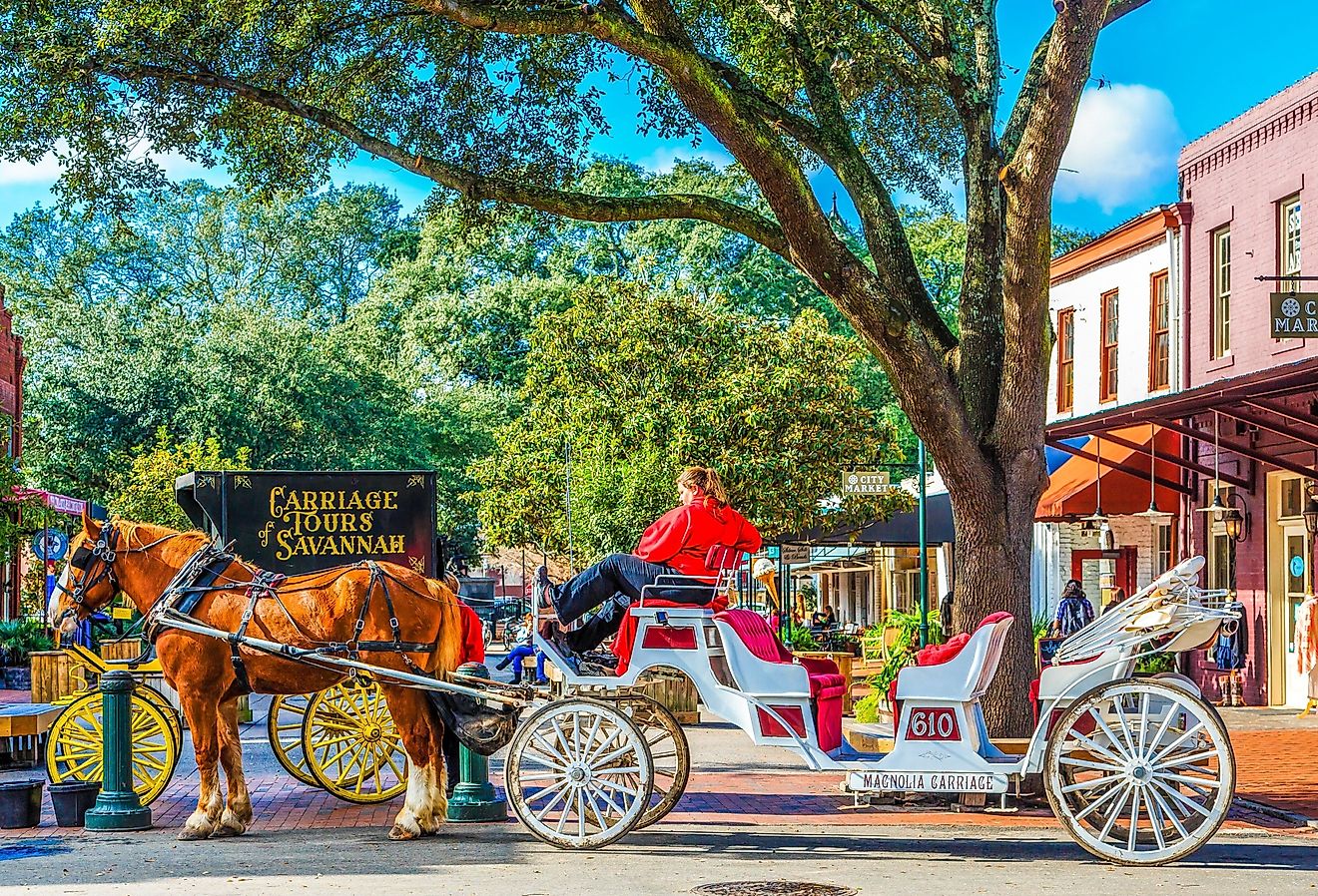 Downtown street with horse and carriage in Savannah, Georgia. Image credit Darryl Brooks via Shutterstock