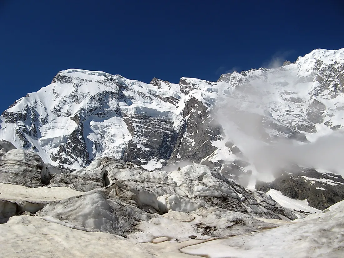 Only a few species of reptilians survive in the harsh and cold climate of the Himalayan region.