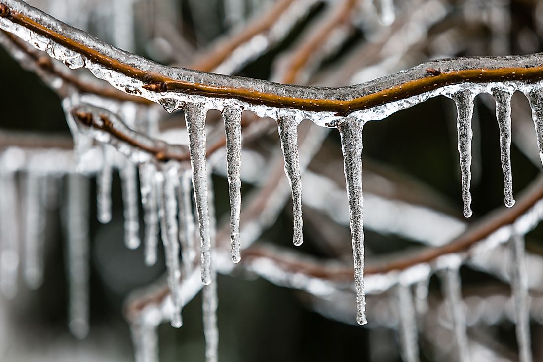 Ice storms can freeze entire trees, causing them to collapse under the weight. 
