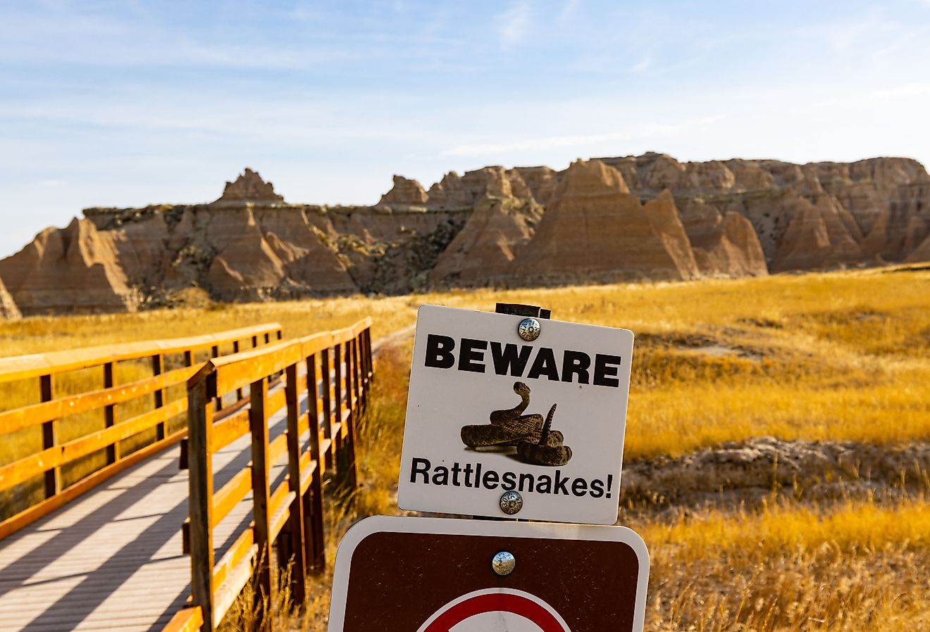 Rattlesnake Waring Sign on The Castle Trail Near Cedar Pass, Badlands National Park, South Dakota.