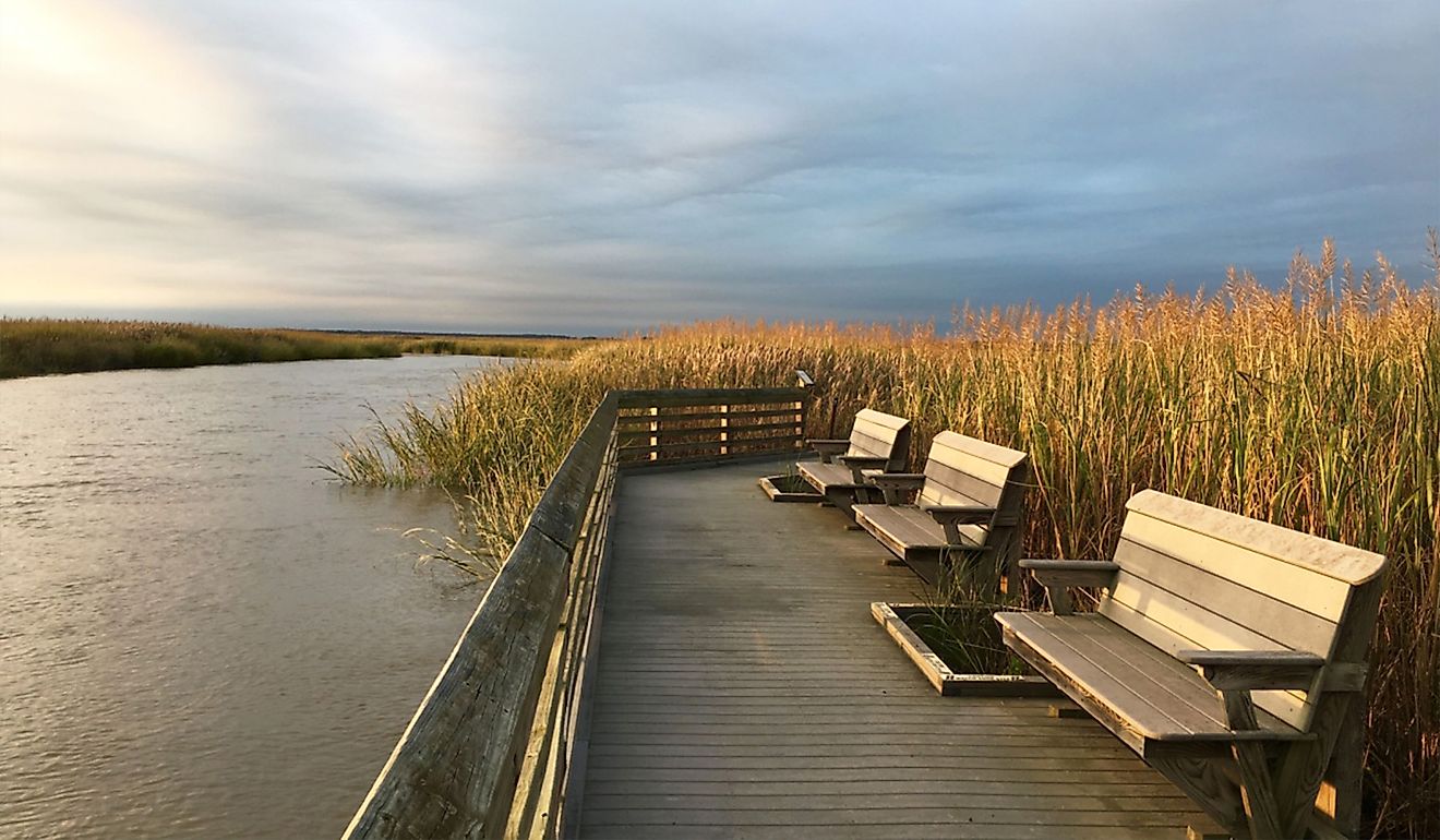 Bombay Hook National Wildlife Refuge.