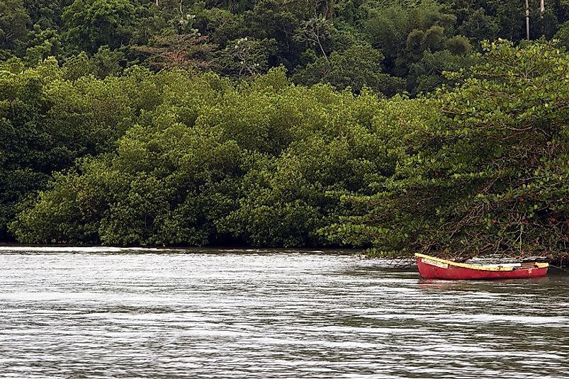 Along the water's edge in the massive Portland Bight protected area.