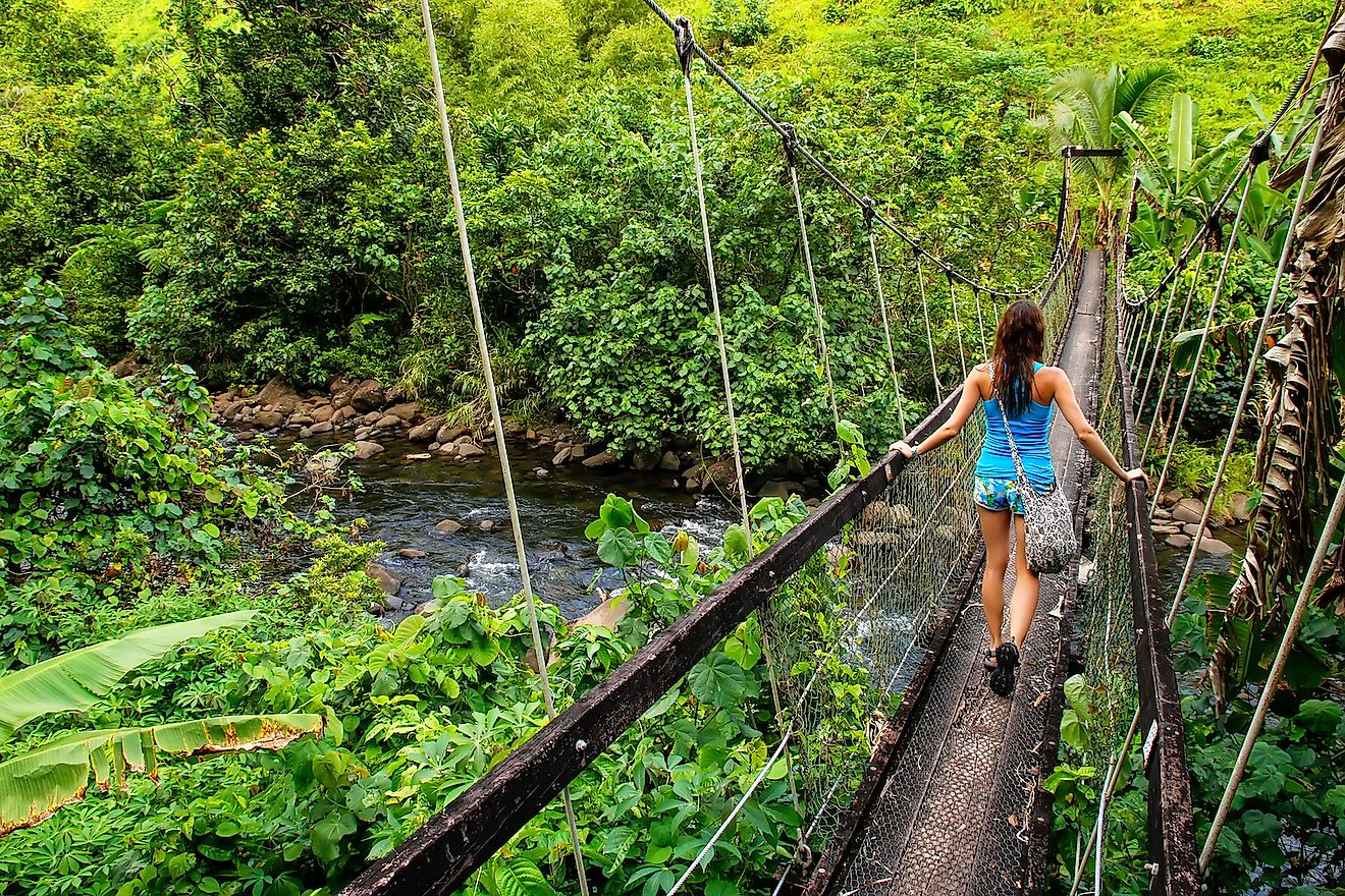 Young woman walking on suspension bridge over Wainibau stream, Lavena Coastal Walk, Taveuni Island, Fiji. Taveuni is the third largest island in Fiji. Image credit: Don Mammoser/Shutterstock.com