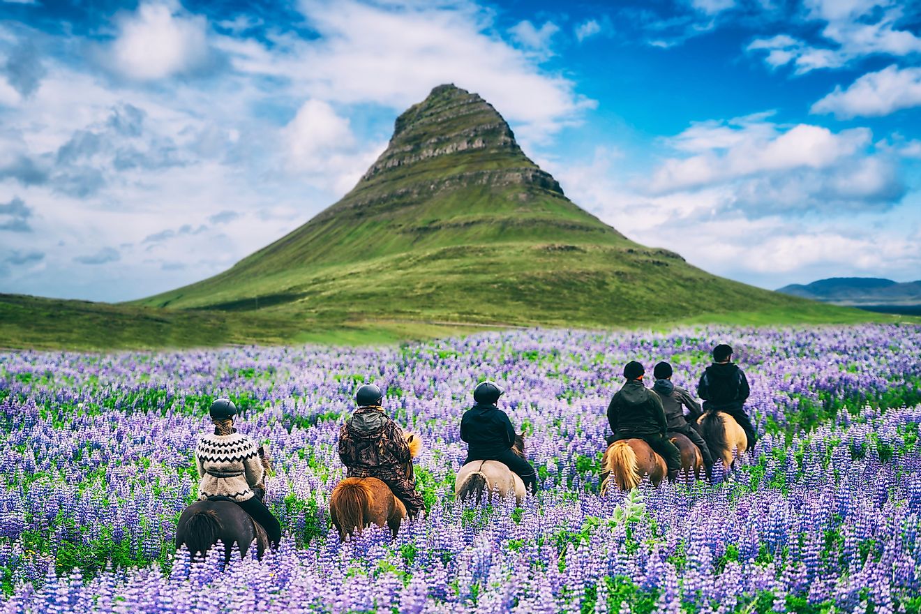 Tourists ride horses at Kirkjufell during Icelandic summer. Image credit: Blue Planet Studio/Shutterstock.com