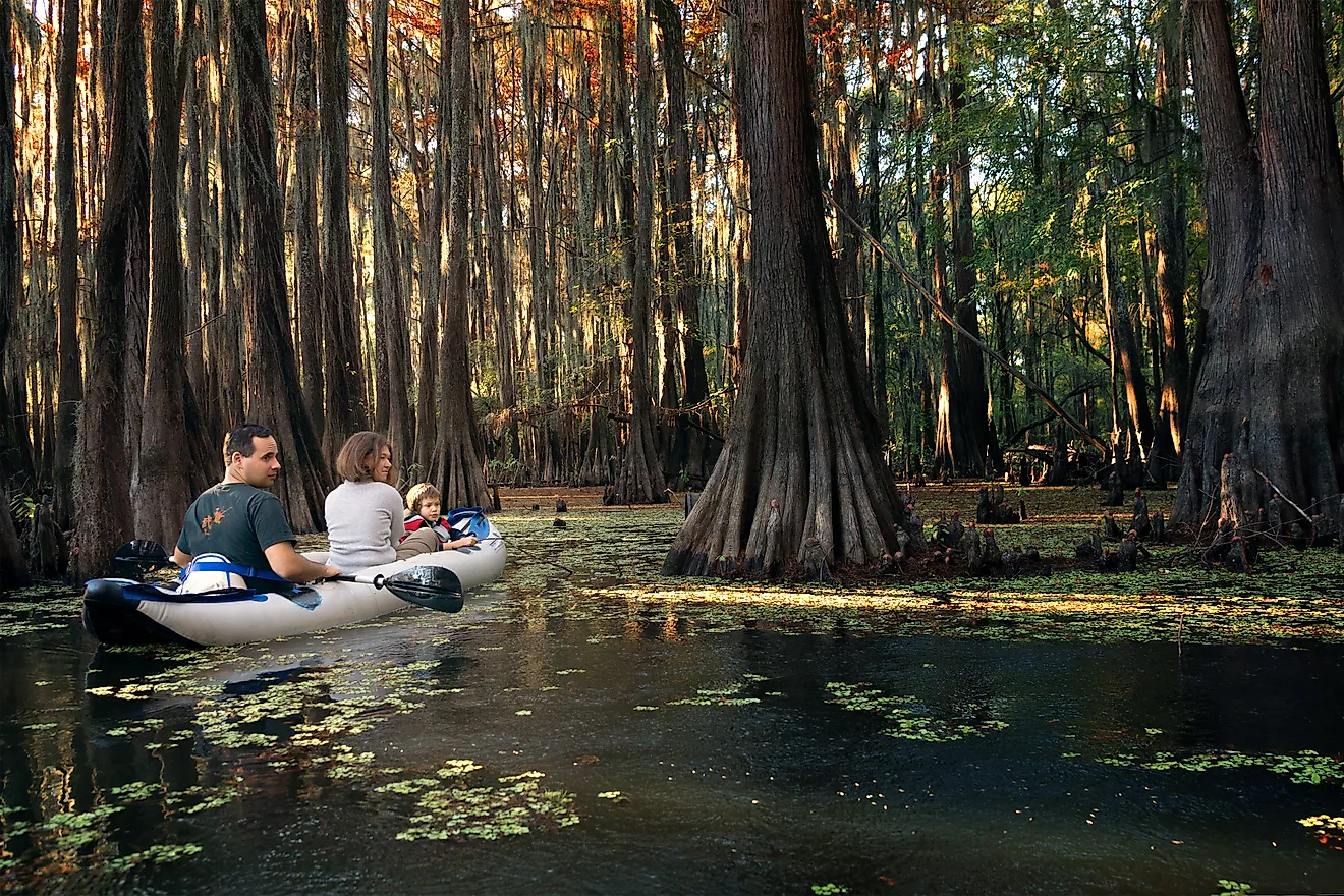Caddo Lake State Park, Texas