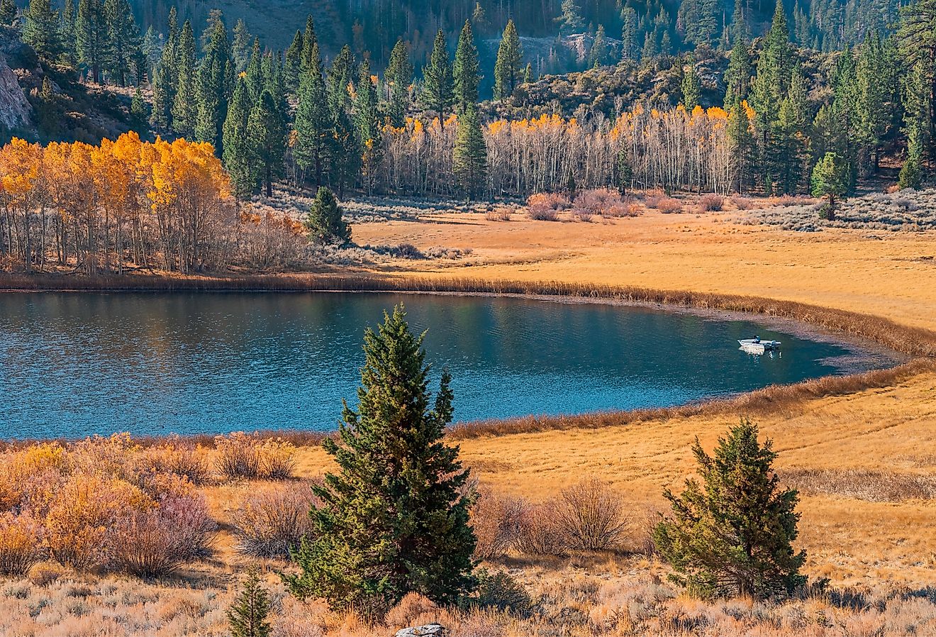 Fisherman floats on Gull Lake in the Autumn morning in the June Lake Loop of California. Image credit Patricia Elaine Thomas via Shutterstock.