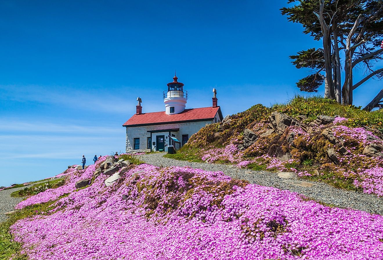 Foreground view of the Battery Point Lighthouse in Crescent City, California.