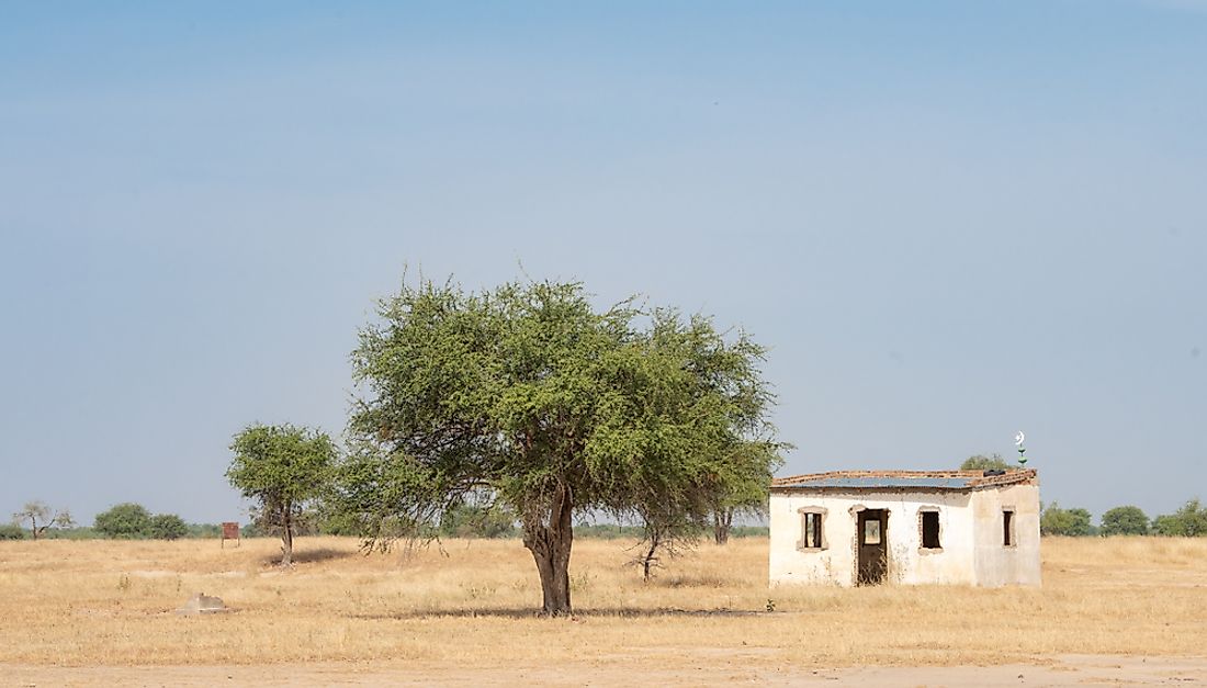 A farm in Chad. 