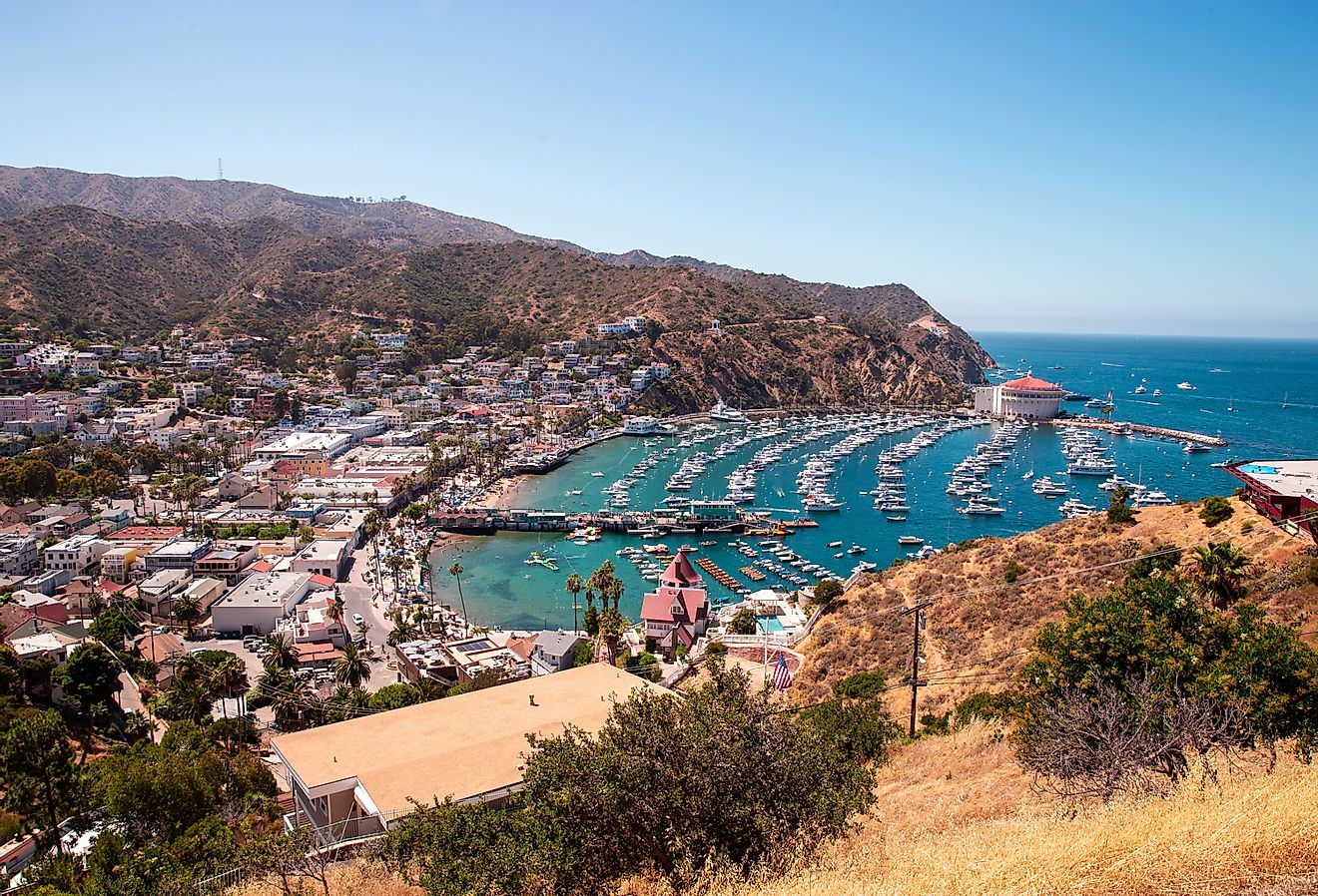 Aerial shot of Catalina Island in California. Image credit Henry Skinner via Shutterstock.