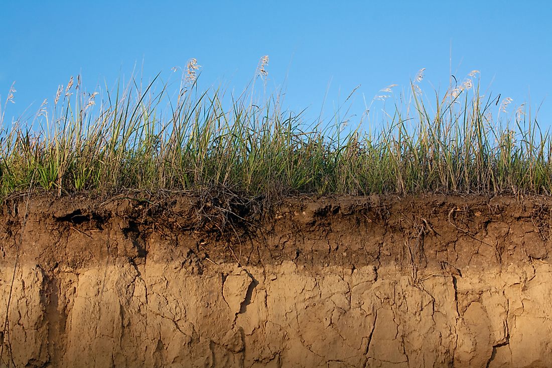 The pedosphere or soil is important for plant growth and water storage. 