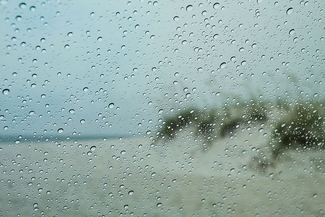 Florida is one of the rainiest states in the country. 