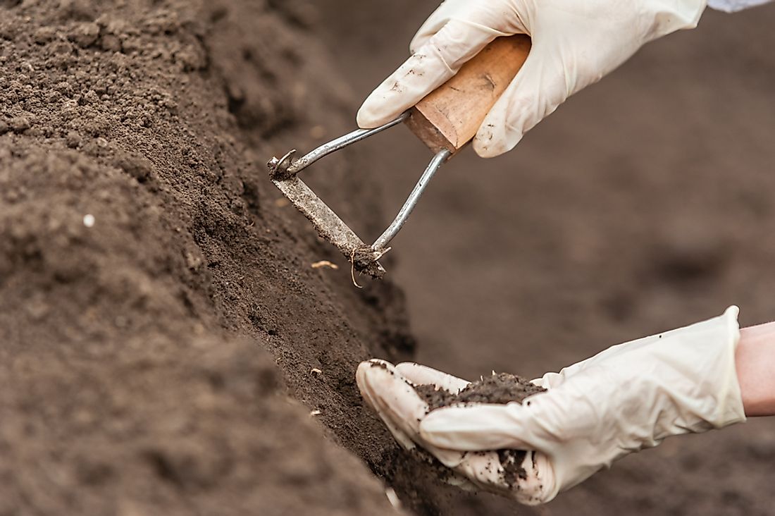Soil science has played a significant role in the agricultural development sector.