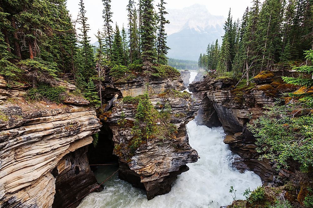 Johnston Canyon. 