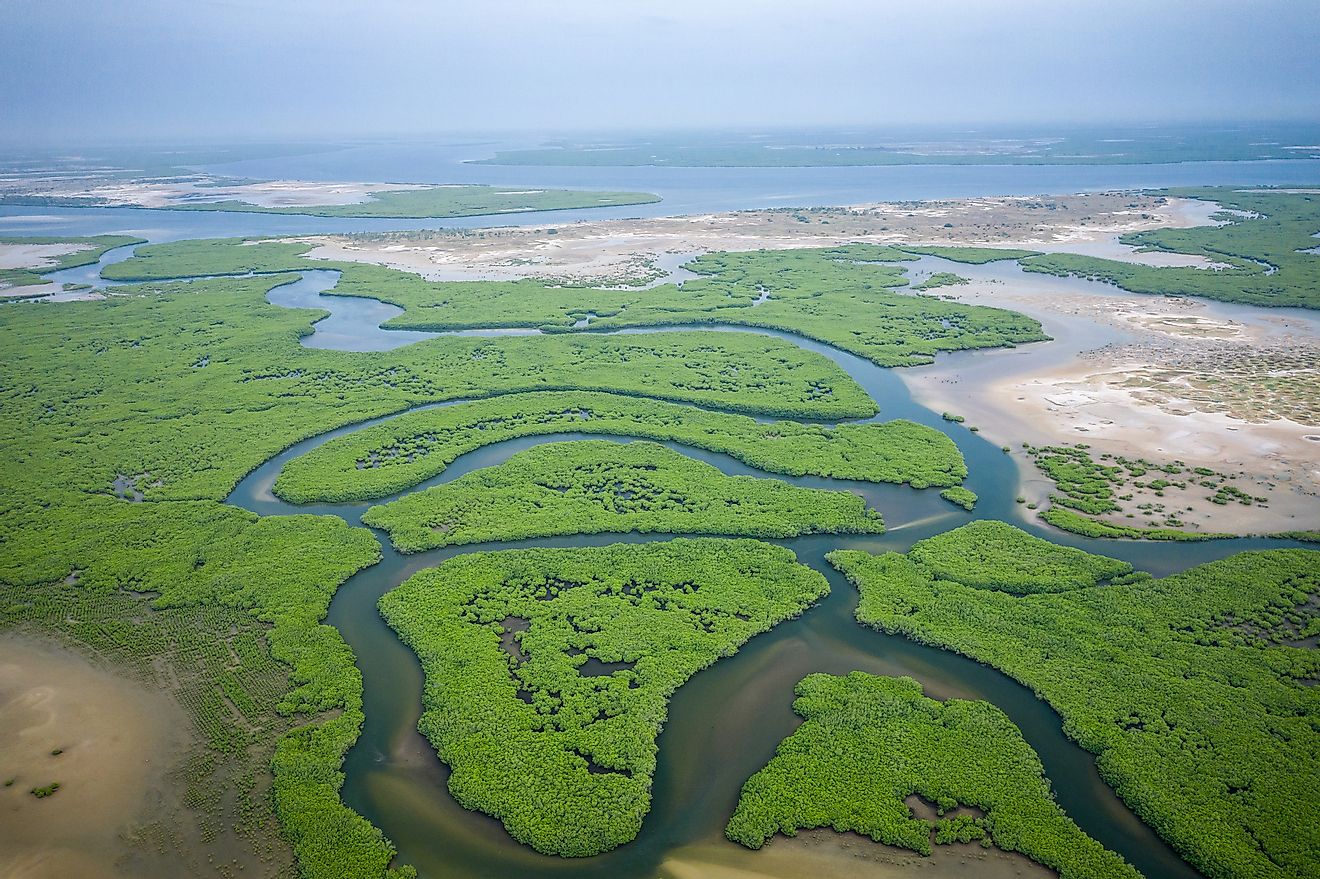 Aerial view of the Gambia River.