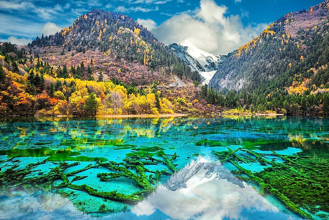 The famous Five Flower Lake in the Jiuzhaigou Nature Reserve, Sichuan, China. 