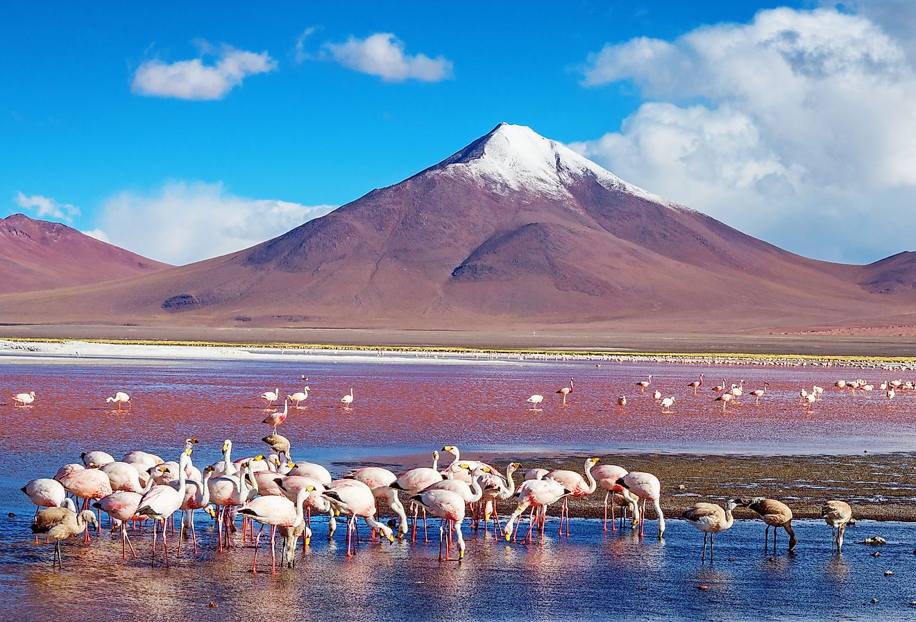 Laguna Colorada