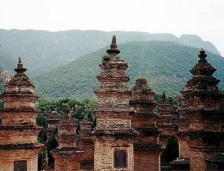 The world famous Shaolin Pagoda Forest.