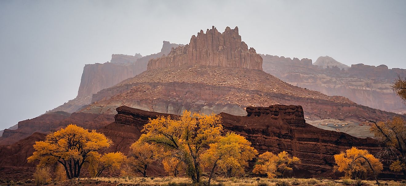 Stormy Autumn Colors in Capitol Reef, Capitol Reef National Park, Utah