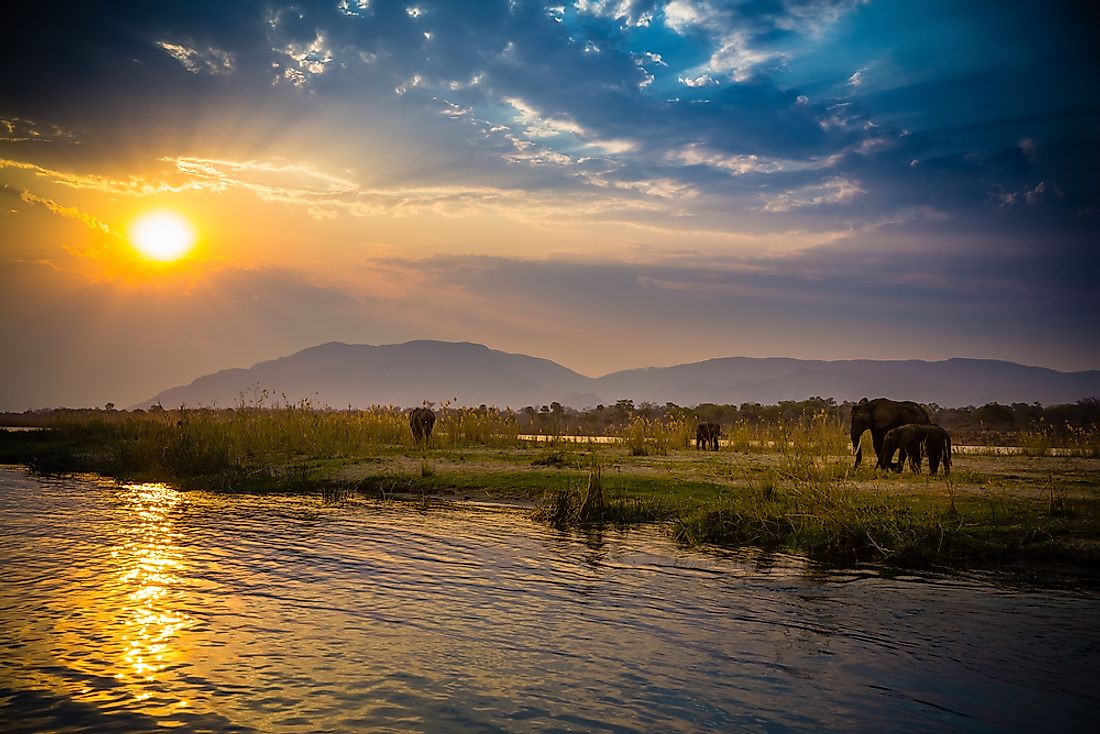 Lower Zambezi National Park, Zambia. 