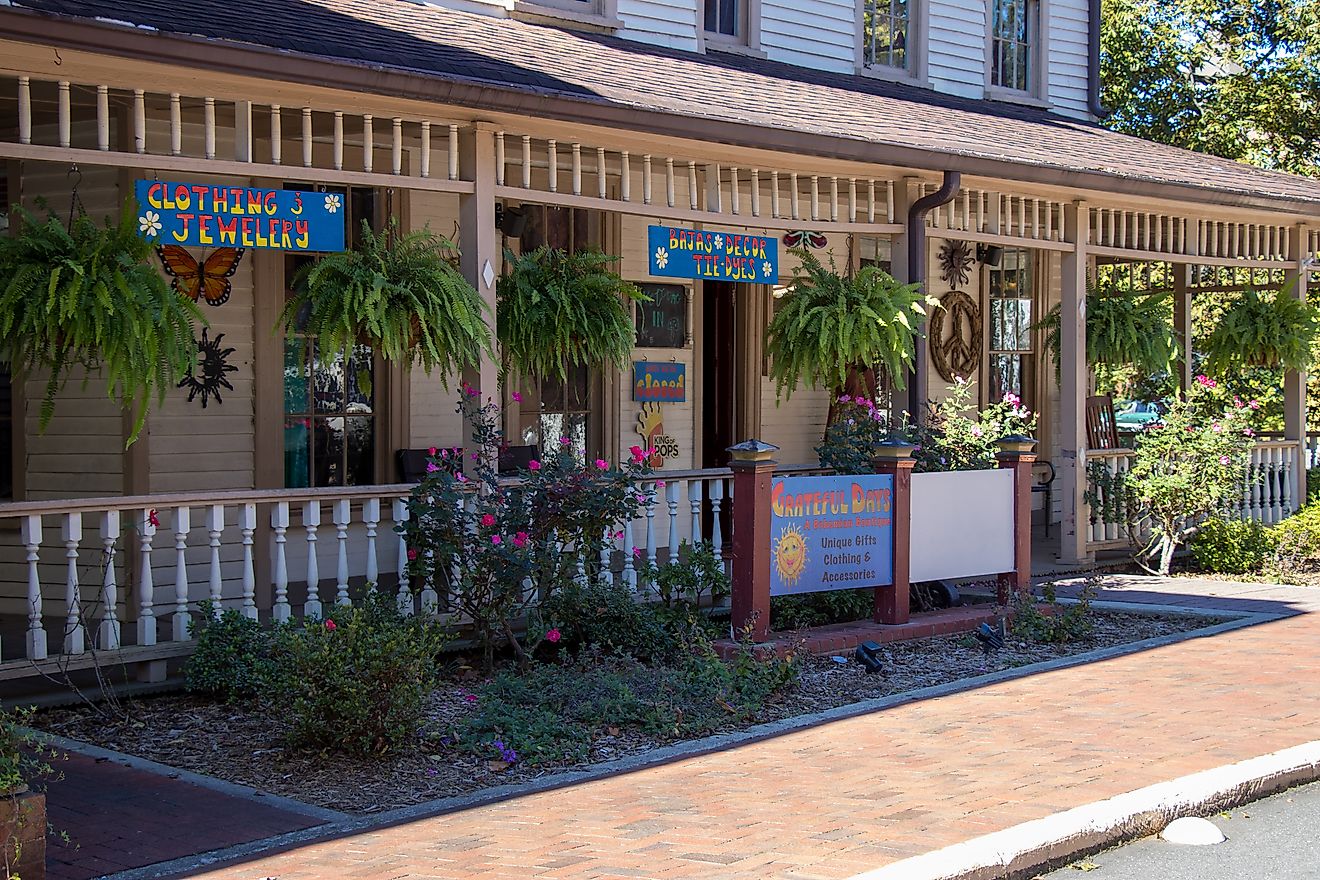 Dahlonega, Georgia: Hanging plants, wall decorations, and colorful signs create an inviting entrance to a business in the historic district, Editorial credit: Jen Wolf / Shutterstock.com