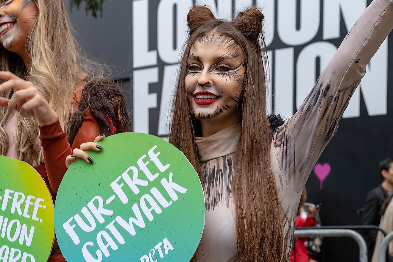 London Fashion Week PETA demonstrators in cat outfits celebrate a "No Fur" fashion week. Image credit: Ian Davidson Photography/Shutterstock.com