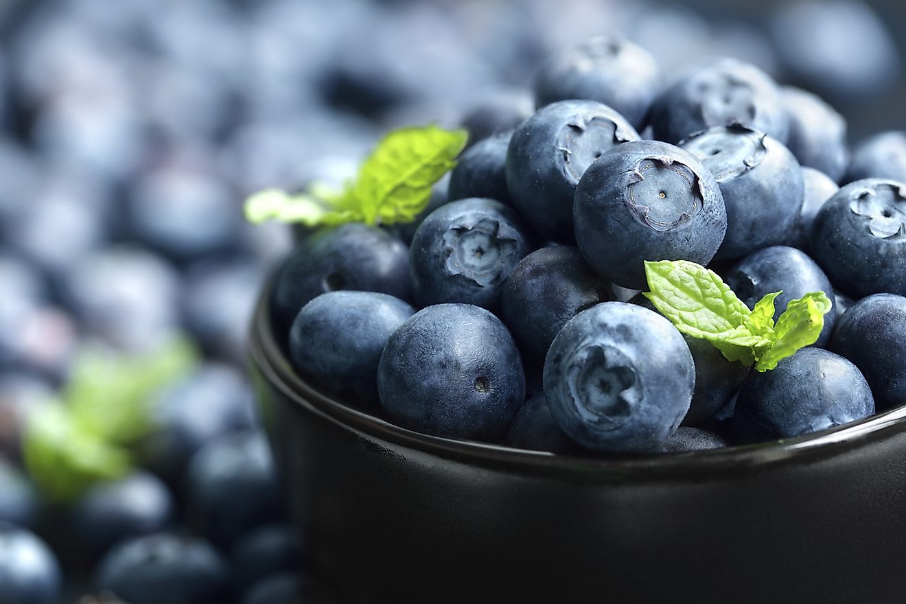 American blueberries are shipped all over the globe, with different varieties of the berry sourced from the different climates of a variety of US states.