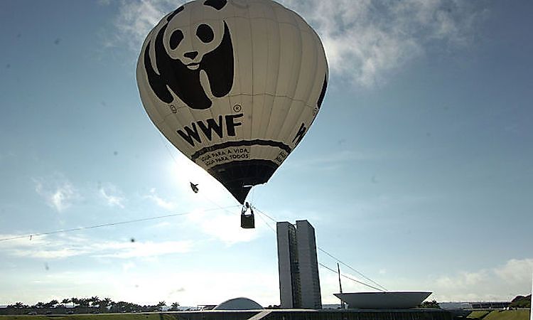 Major International Wildlife Conservation Organizations Active In The Major International Wildlife Conservation Organizations Active In The