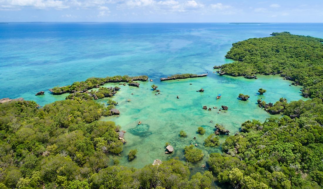 Mangrove forest on Tanzania's coast.