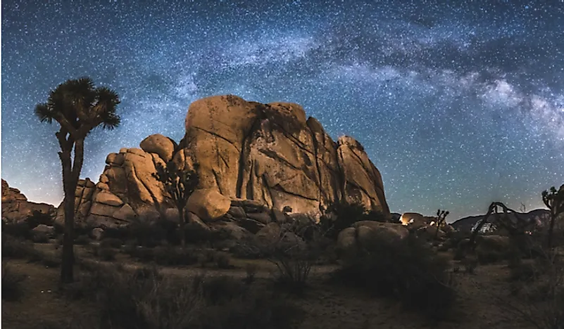 The night sky in Joshua Tree National Park. 