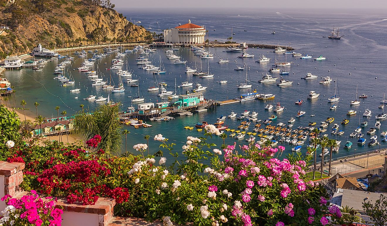 Avalon, Santa Catalina Island. Editorial credit: Rob Crandall / Shutterstock.com