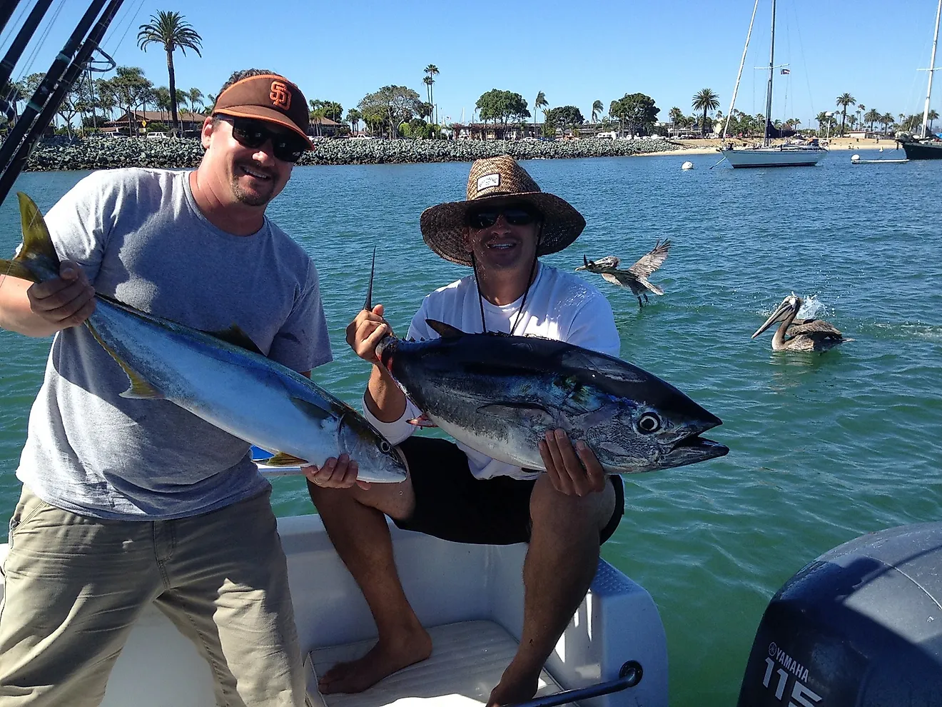 deep sea fishing trips near me