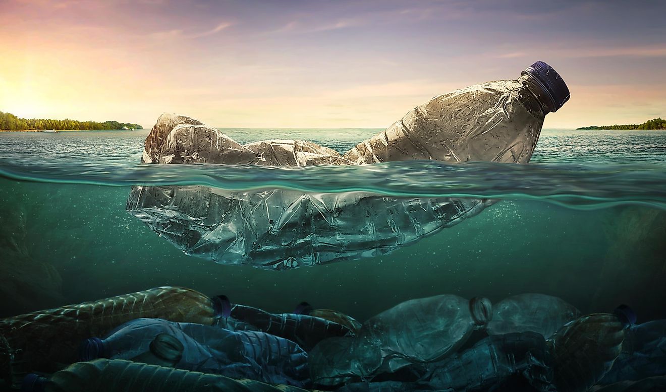 Plastic does not harm only humans, but it harms our planet's biodiversity as well.