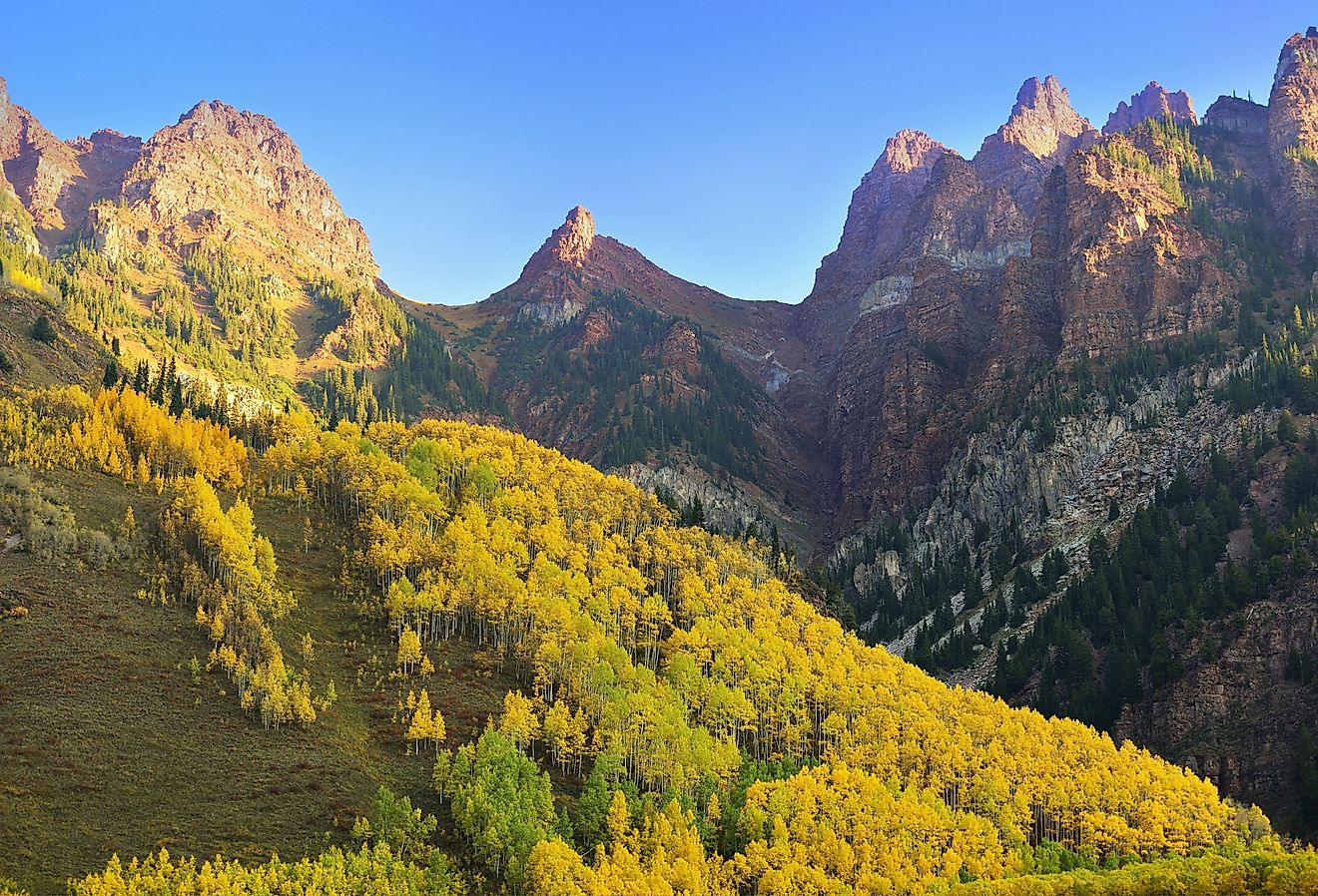 Elk Mountains of Colorado with golden and green trees during foliage.
