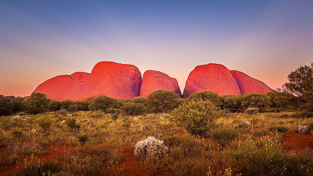 Kata Tjuta. Image credit: Maurizio De Mattei/Shutterstock.com