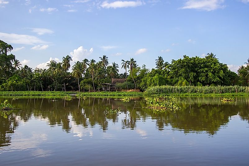 Lush greenery along the Tha Chin River in Nakhon Pathom,Thailand.