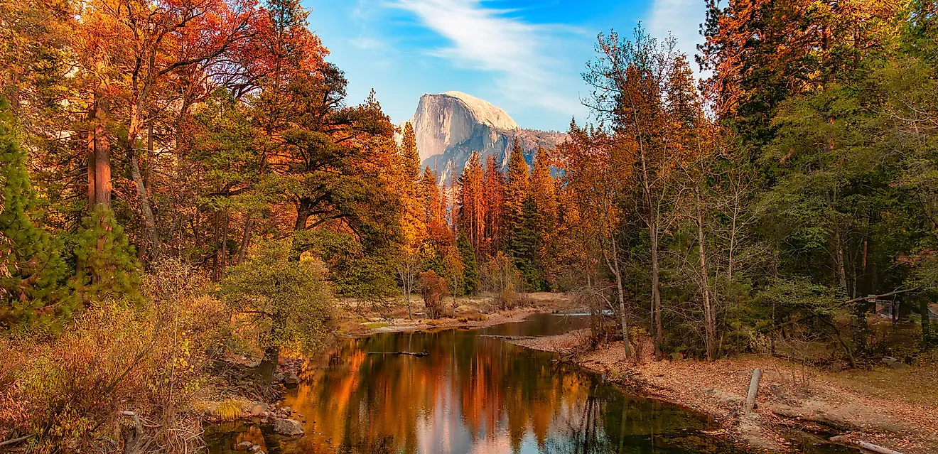 Colorful Trees, with a river and mountains in Yosemite National Park, California