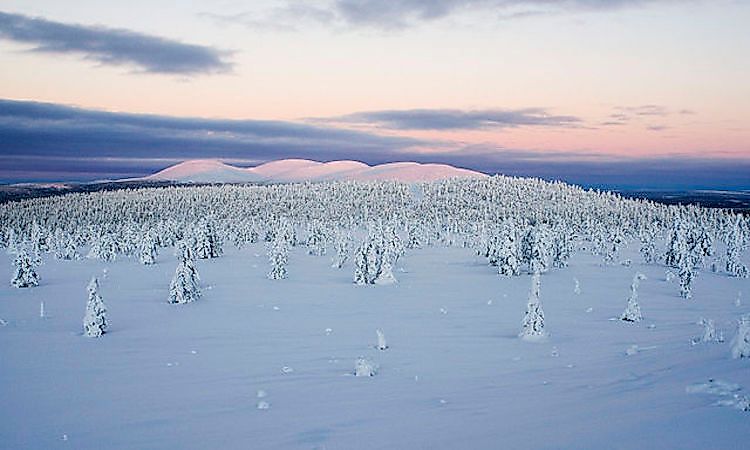 View on the ridge Pallastunturi from Sammaltunturi, Finland.