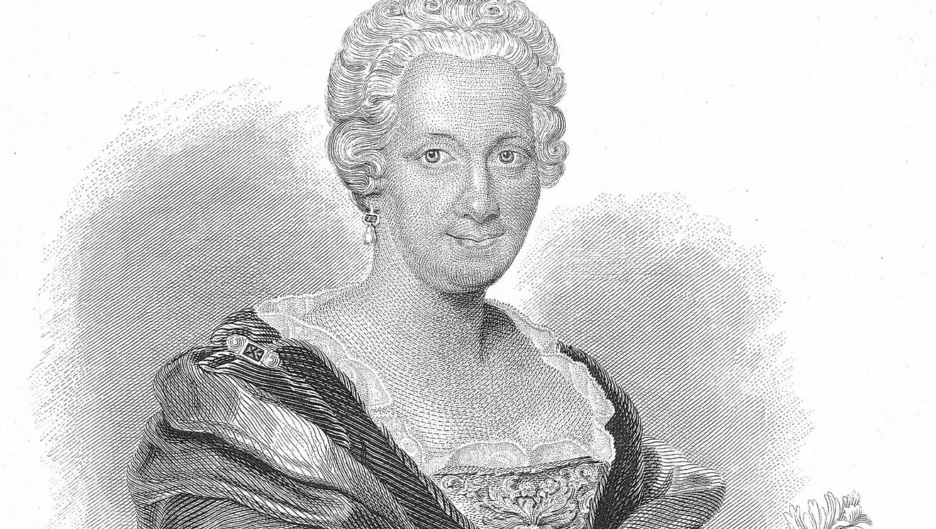 Maria Sibylla Merian's contributions to the Natural Sciences are still significant to this day. She helped moved entomology into the modern sphere.