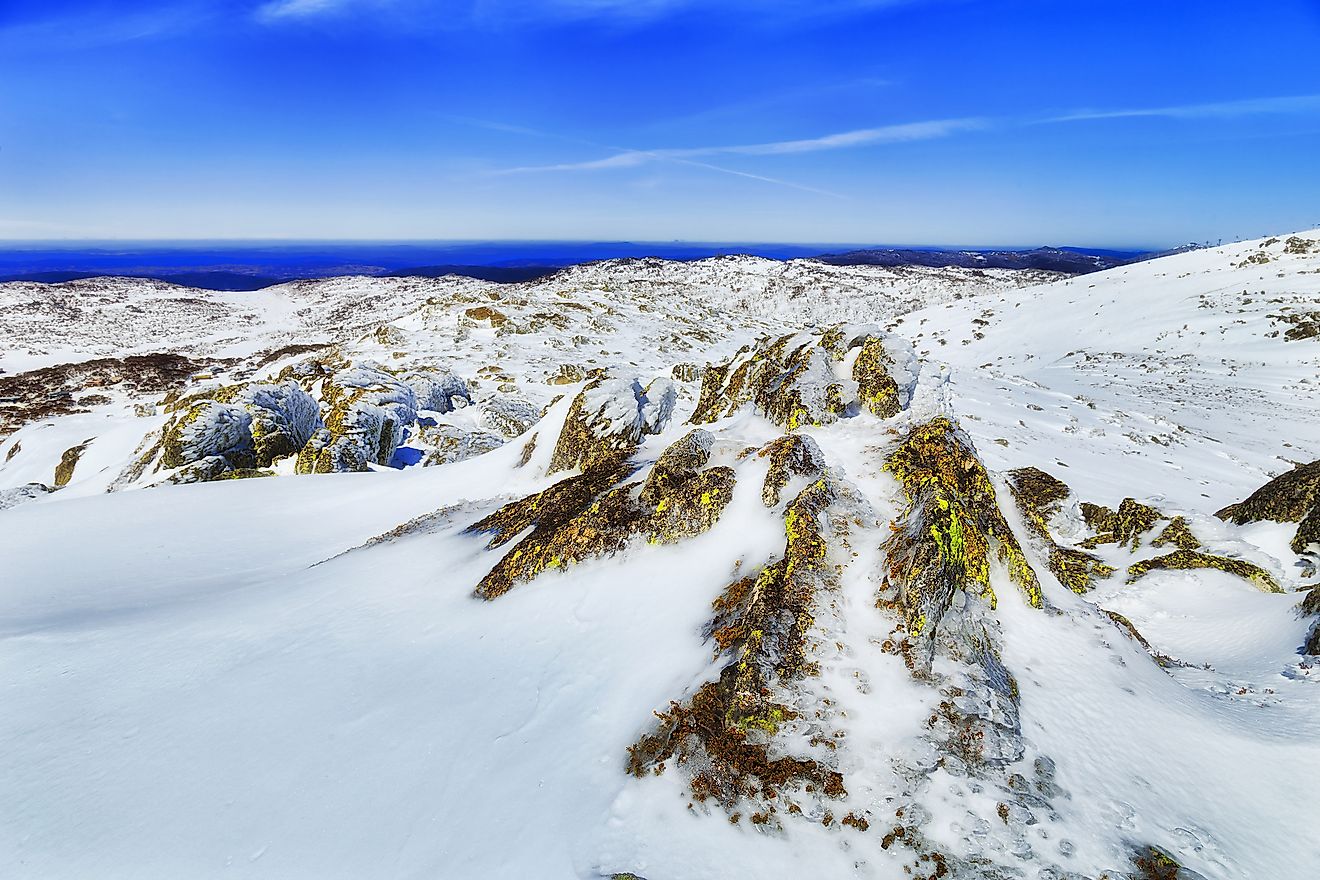 Moss covered rocks on top of Back Perisher Mountain in the Snowy Mountains of Kosciuszko national park, NSW, Australia.