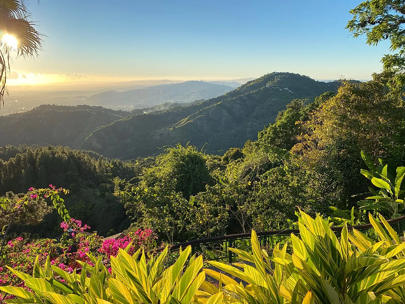 Tropical National Forest of El Yunque in Puerto Rico. 