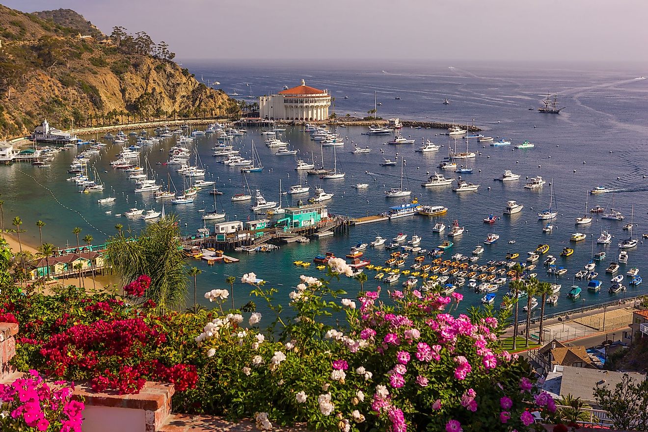 Flowers, harbor and casino in town of Avalon, Santa Catalina Island, California. Editorial credit: Rob Crandall / Shutterstock.com